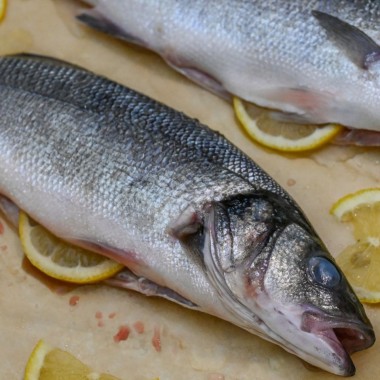 Zeebaars