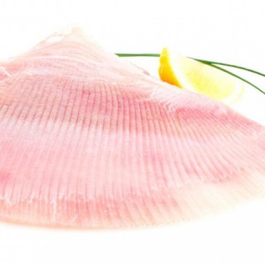 Rogvleugel